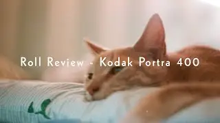 Kodak Portra 400 - Roll Review
