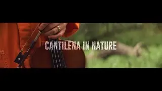 Cantilena in Nature | Isco Göttingen Kiptar 2x Anamorphic & Lumix S1H Test Footage