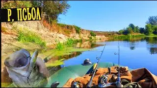 ✅️Рай - він ТУТ 👆 Є ще Нетронуті Місця Людиною! Рибалка з  @myrhorodfishing2012