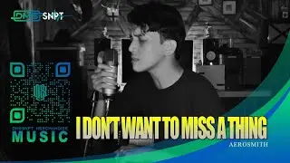 Aerosmith - I Don't Want to Miss a Thing ( Acoustic Cover )