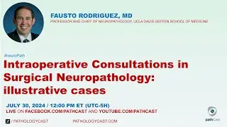 #NEUROPATH Intraoperative Consultations in Surgical Neuropathology: illustrative cases