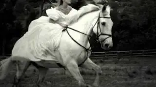 Send Your Love  Sting Feat. Vicente Amigo( full song) + lyrics