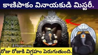 కాణిపాకంలో వినాయకుడి విగ్రహం ఎందుకు పెరుగుతుంది | Kanipakam Vinayaka Swamy Mystery In Telugu | Facts