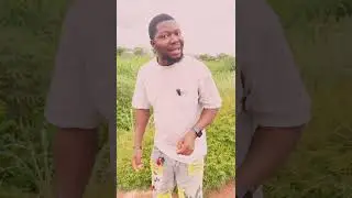 Message for my people @igbowarrigal8679  @igbollywood @Igbobekee  @IGBOAREATV @heisrema @follow-me