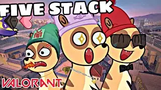 Valorant : La five stack incroyable !!!