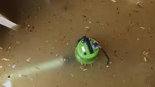 Flooded basement