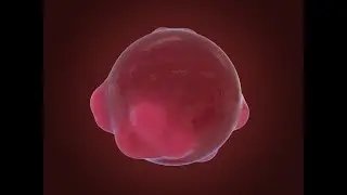 GeoBoil Effect in Cinema 4d No Plugins Need