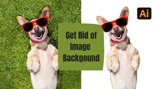 Use This Tool to Get Rid of Image Background in Adobe Illustrator