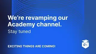 Bulls, Bears & Breakfast... SpaceX Selling BTC, Bitcoin ETF Not in 2023 and More! 📈🐂🐻