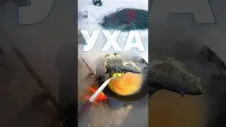 ФИНЫ В ШОКЕ! Финская уха из форели. Зимняя рыбалка в своём пруду. Сливочный рыбный суп 