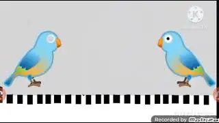 [Nut MIDI] BirdX2.mid