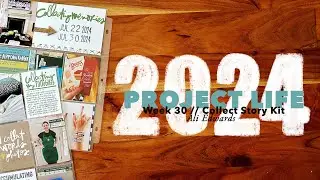 2024 Project Life // Week 30: Collect Story Kit