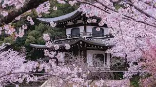 Japanese Music 