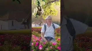 11 Eylül 2024