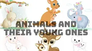 Learn animals & their babies name with pictures in English | Animals and their young ones - part : 1
