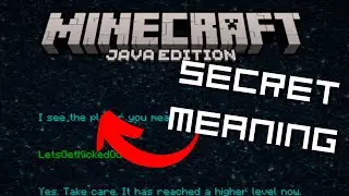I Found Minecraft's Secret Message