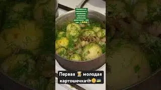 Кулинария вместе с Niki AzovPort Ukraine 🇺🇦🤫🤗