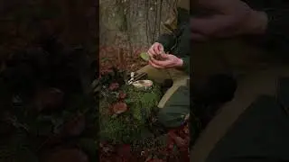 The Dark Secrets of Bushcraft Skills Revealed #camping  #bushcraft #survival #building