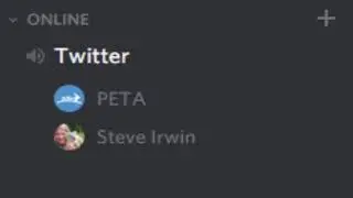 The Internet defends Steve Irwin | Discord Meme
