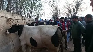 молбозори Мастчоҳ якум участка 22 03 2023 г.