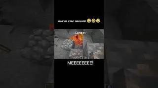 компот стал овечкой🤣🤣🤣🤣🤣 #компот #овечка