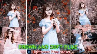 Brown and soft blue Tone Preset 2022 | Lightroom Mobile Preset Free DNG | Brown and soft blue preset