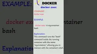 docker Command - 8 | docker exec