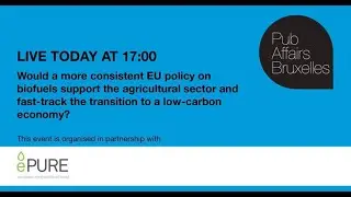 Can Biofuels support a low-carbon economy and the agricultural sector?