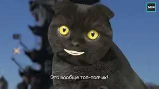 Весь город — музей! | Кот Бублик