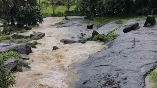 Kerala Gods own country.