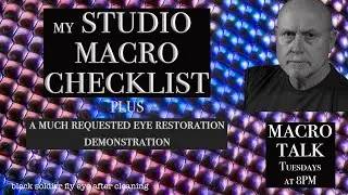 My Studio Macro Checklist - Macro Talk #71 -  A. Walls Photography, Nov28,  2023