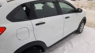 Проверка на окрас лада икс рей