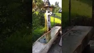 Джерело. Альпи. Баварія.