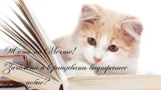 Зачем нам взращивать внутреннее трудолюбие?