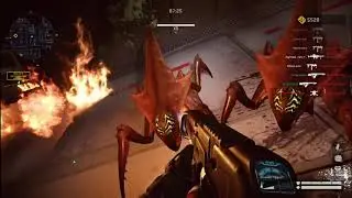 Warface--Спецоперация--рой==Проход--На--Время--Счёт--Изи--Катка