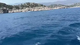 Ландшафтный дизайн: 🏝️ растения которые дохновляют и создают великую экосистему