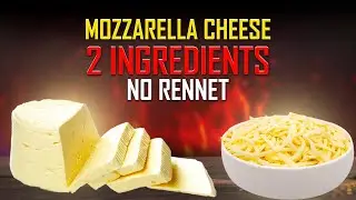 Mozzarella Cheese Recipe with JUST 2 Ingredients (No Rennet) | Vinegar