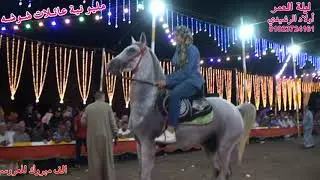 رقص الخيل البرنسيسه شهد نصار والهرم علاء سمير مليونية عائلات شوشه والرفاعي ف أبو دشيشه بلقاس