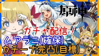 ムアラニとカチーナガチャ❣ 【原神/Genshin】