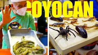 One of the BEST street food markets MEXICO CITY has to offer
