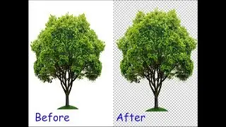 How to cut out a tree in Photoshop