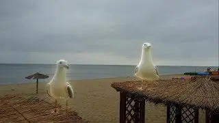 Затоки. Прощай літо чи час одягати валянки!