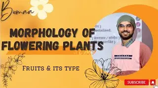 Fruits & its type I Morphology of flowering plants