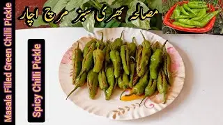 How to Make Masala Stuffed Chilli Pickle | Spicy Bharwa Mirch Achar | Arain Kitchen #tips #trending