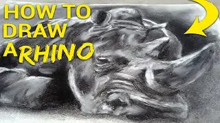 Realistic Rhino Drawing tutorial