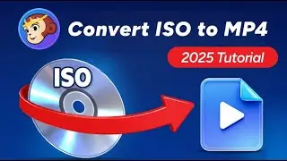 How to Convert ISO to MP4 with DVDFab DVD Ripper?