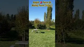 Apple 🍎 Farm | USA 🇺🇸 
