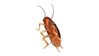 dancing roach autotune - 1xsb