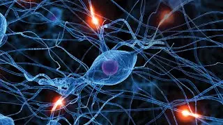 Research collaboration to advance innovative solutions for patients with neurological diseases