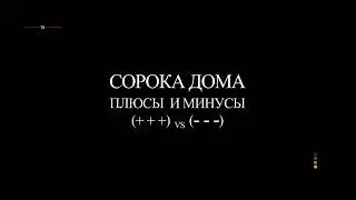 эта сорока находится в розыске за страшные дела и ты не знаешь ее имени? если увидите то звоните!!!!